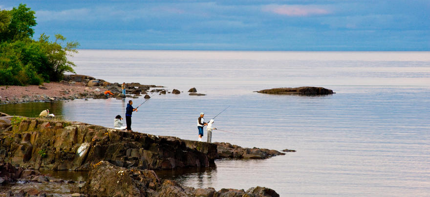 people fishing on the shore
